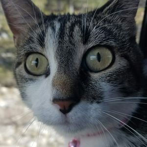 Meet your Posher, Dillon